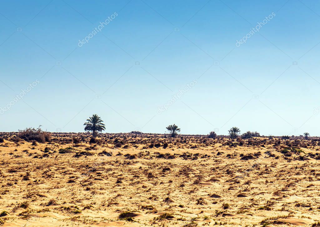 Route traversant un paysage verdoyant au Sénégal