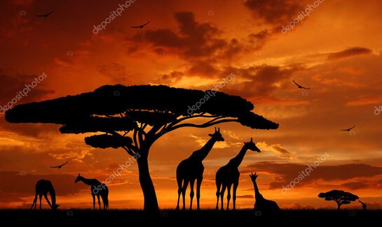 Famille marchant sur une dune de sable au coucher du soleil